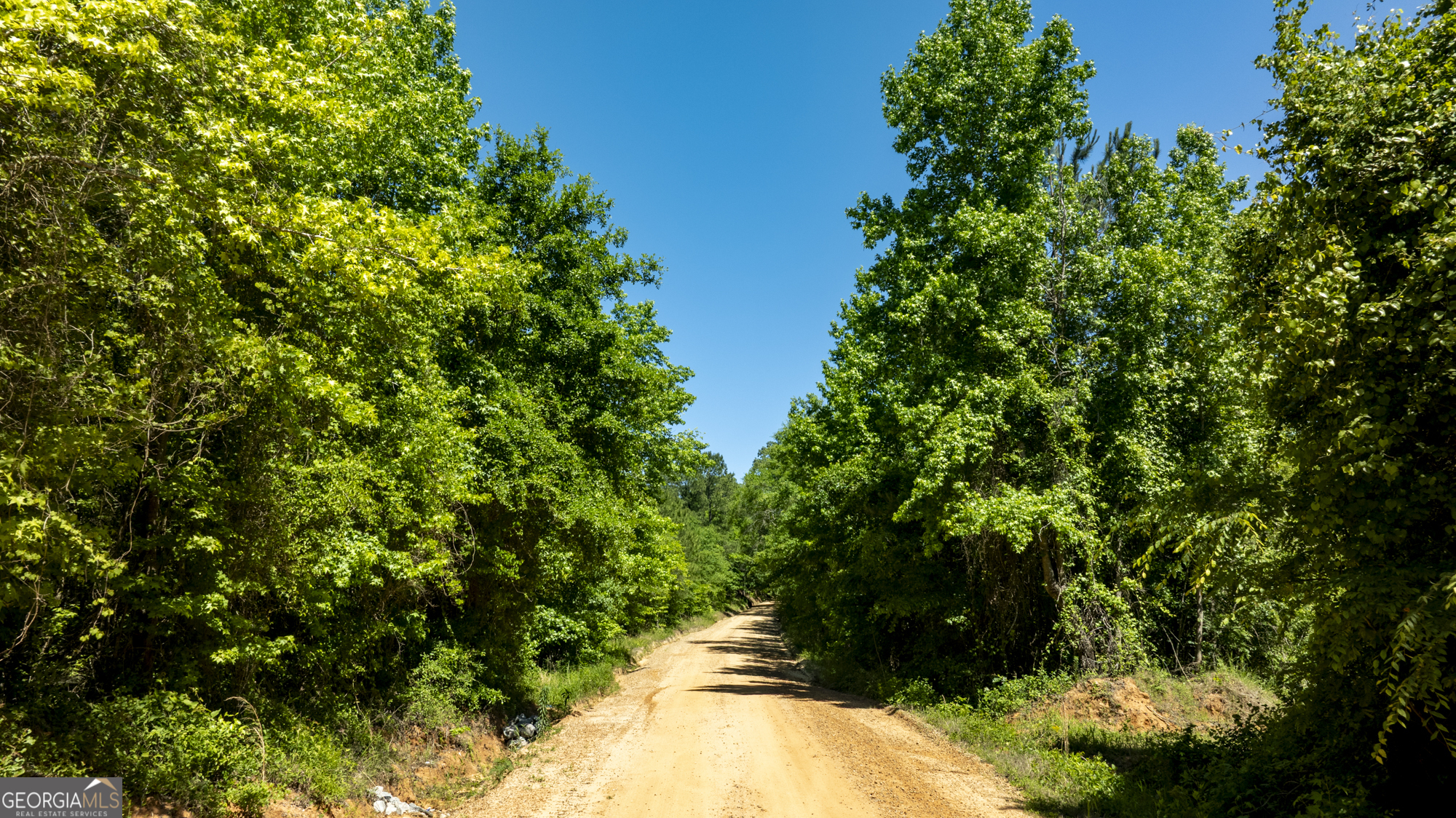 0 Old Griswoldville Road Macon, GA 31217 - Photo 47 of 62