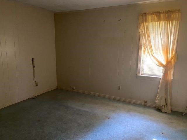 24289 Swamp Road Red Level, AL 36474 - Photo 8 of 20 Gallery Image 8