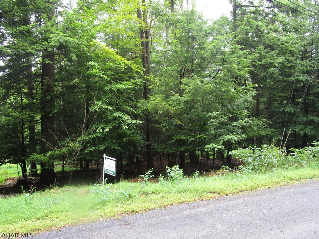 0 Red Oak Road Flinton, PA 16640 - Photo 1 of 2 a backyard of a house with plants and large trees