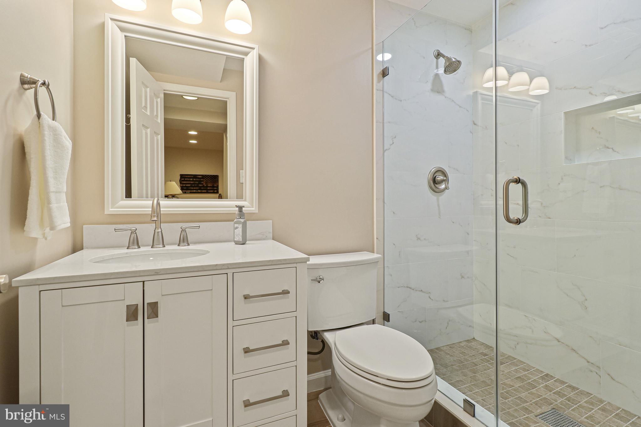1318 Wedgewood Manor Way Reston, VA 20194 - Photo 54 of 65 Lower Level: Bathroom