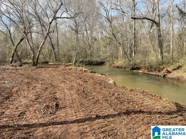 0 County Road 158, Unit 1 Lafayette, AL 36862 - Photo 1 of 19