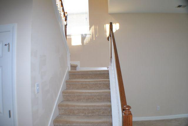 293 Killarney Trail Moncks Corner, SC 29461 - Photo 4 of 23 DSC_8000