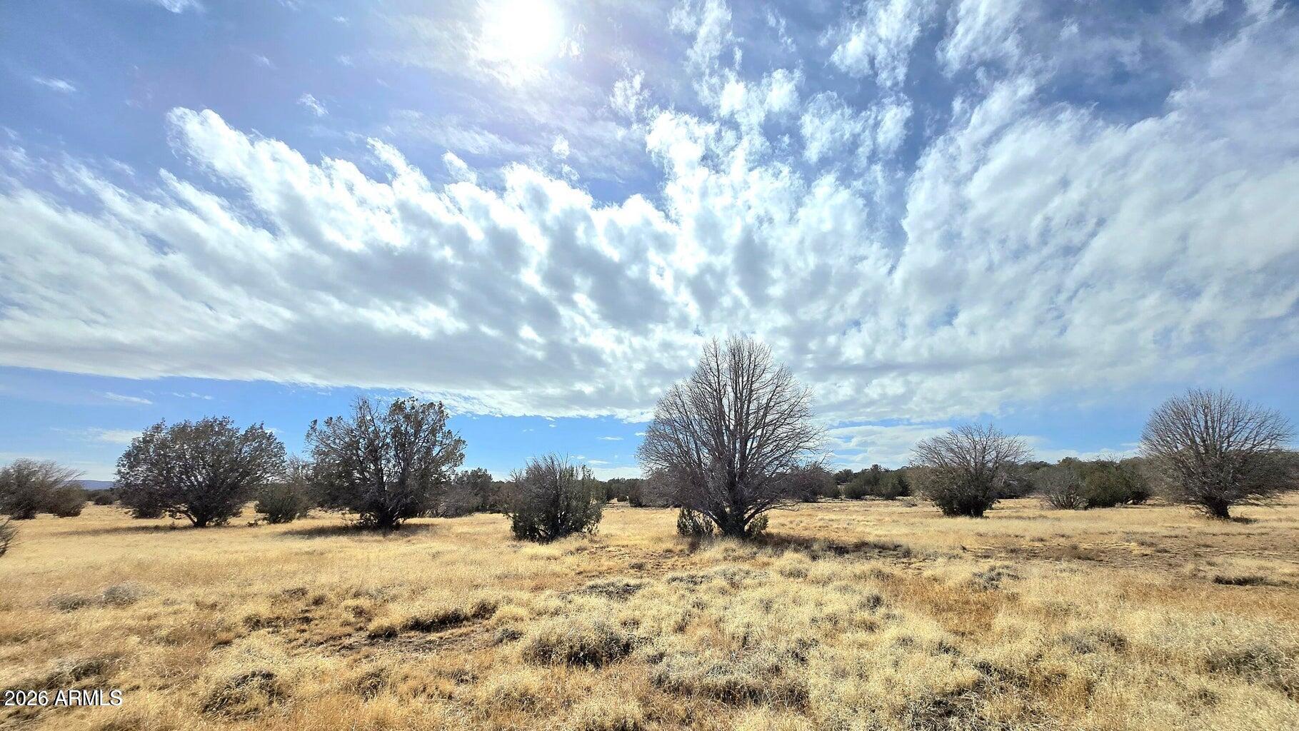 8495 Antelope Run Road Ash Fork, AZ 86320 - Photo 37 of 40 a view of a yard with a snow
