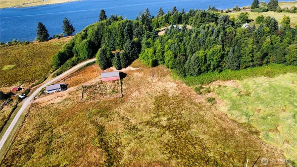 a view of a yard with plants and wooden fence
