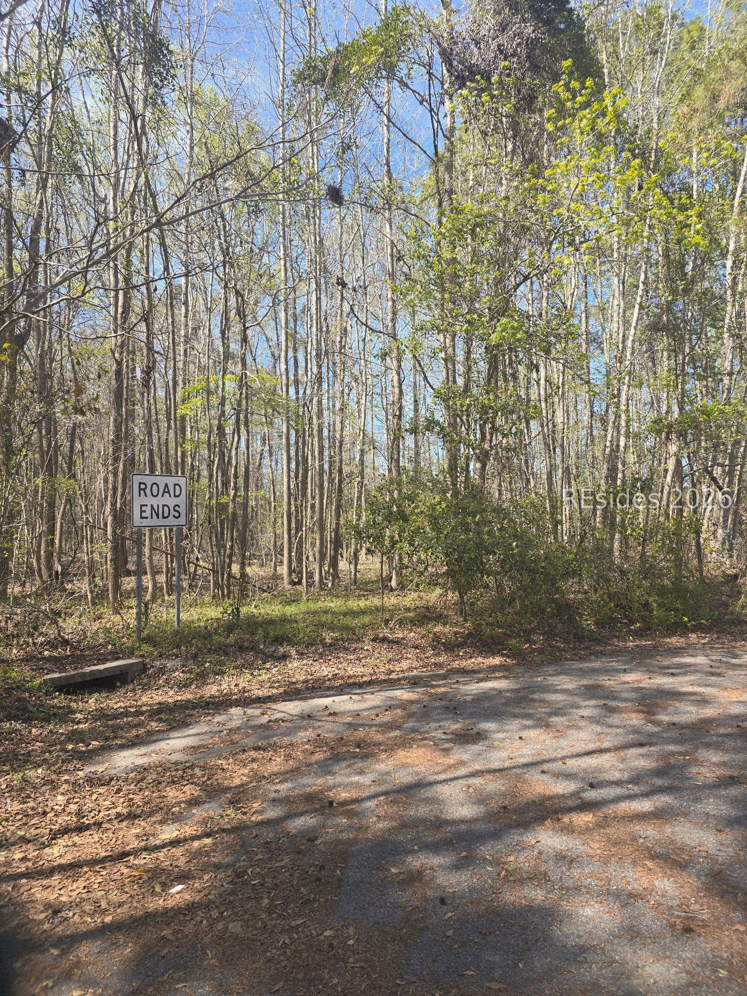 Lot 5 Freeman Street Brunson, SC 29911 - Photo 3 of 6