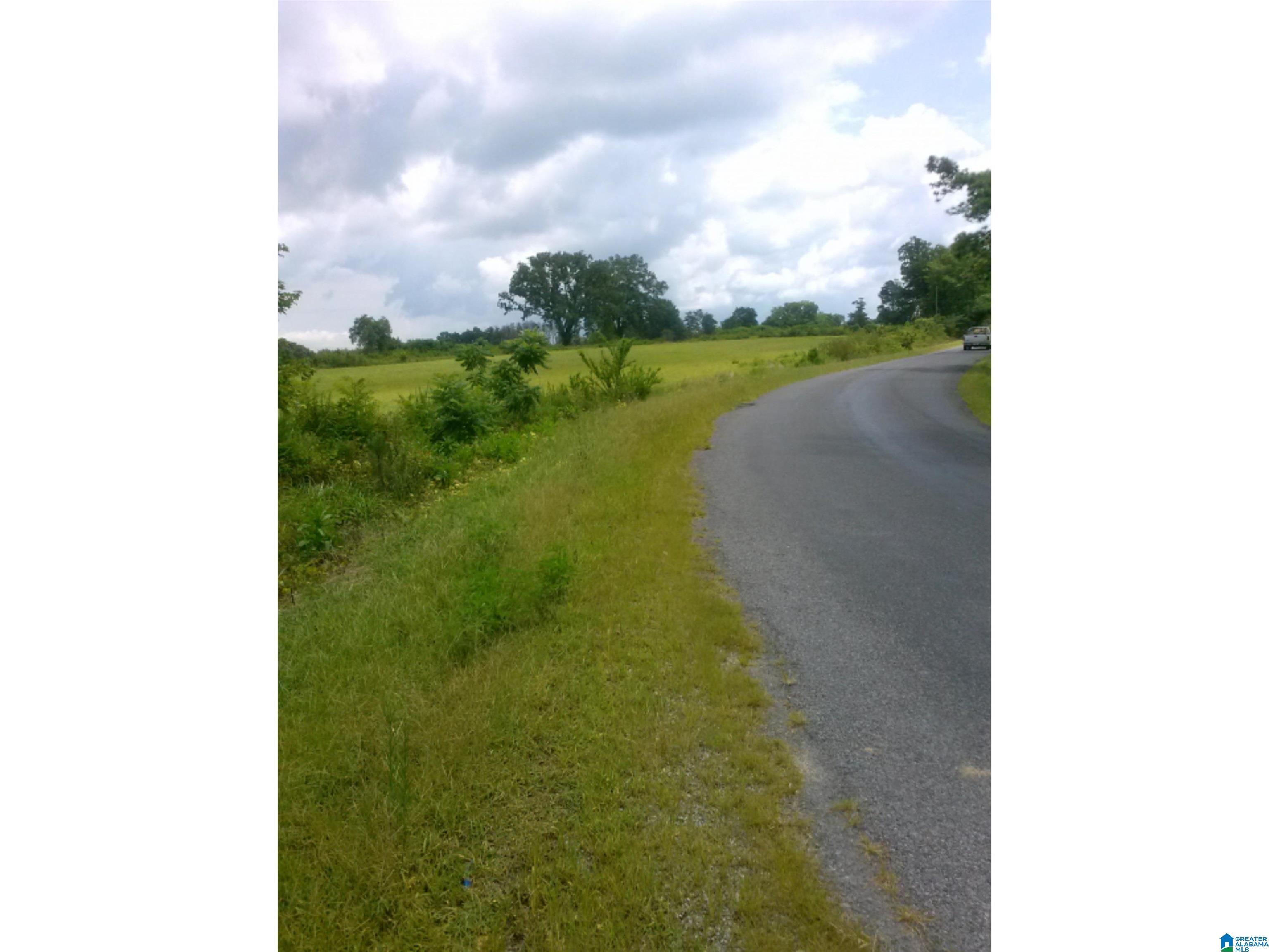 0 County Road 141, Unit 1 Ider, AL 35981 - Photo 9 of 29