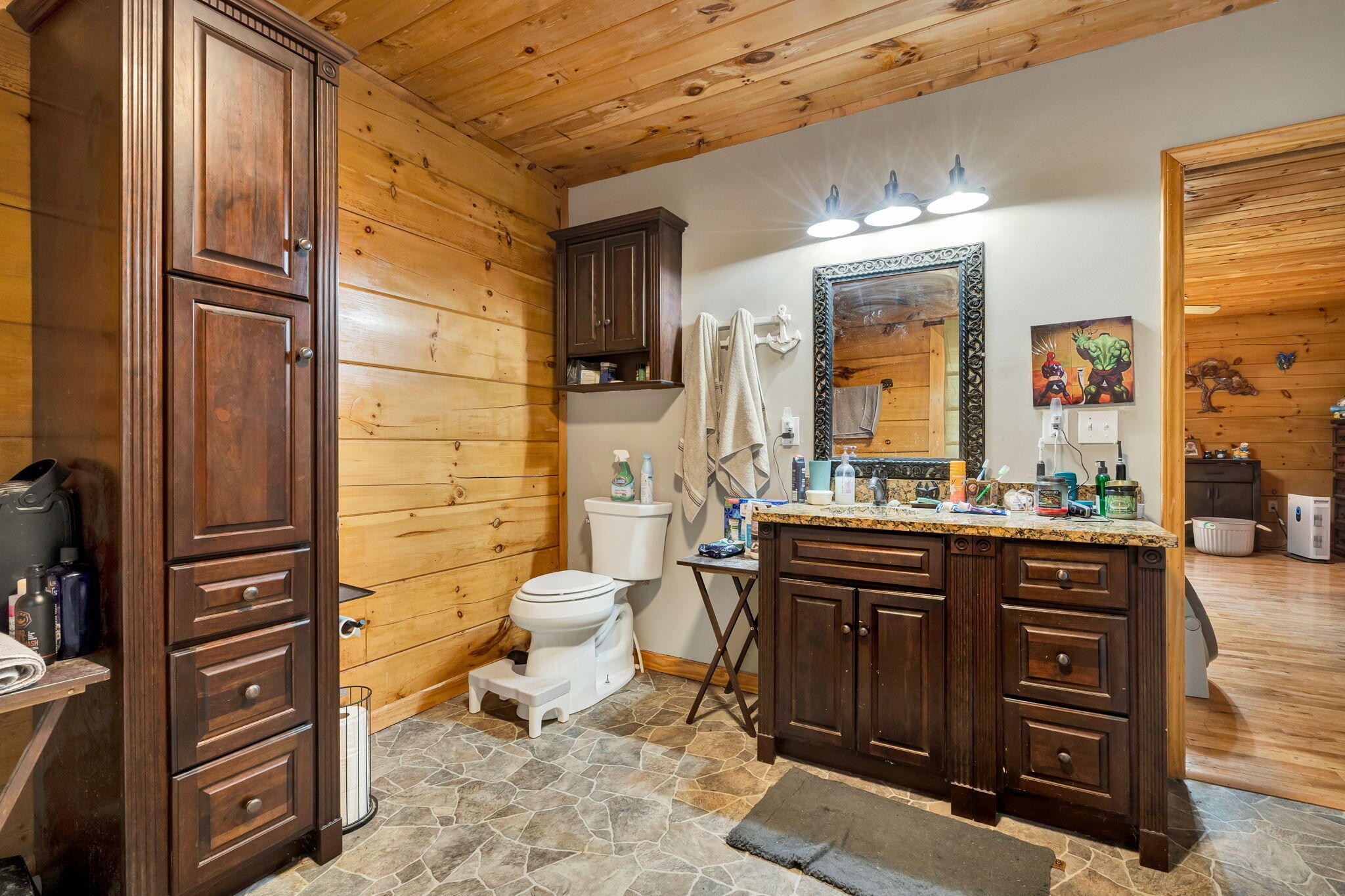 180 McJunkin Road Tellico Plains, TN 37385 - Photo 30 of 60 a bathroom with a sink a toilet and mirror
