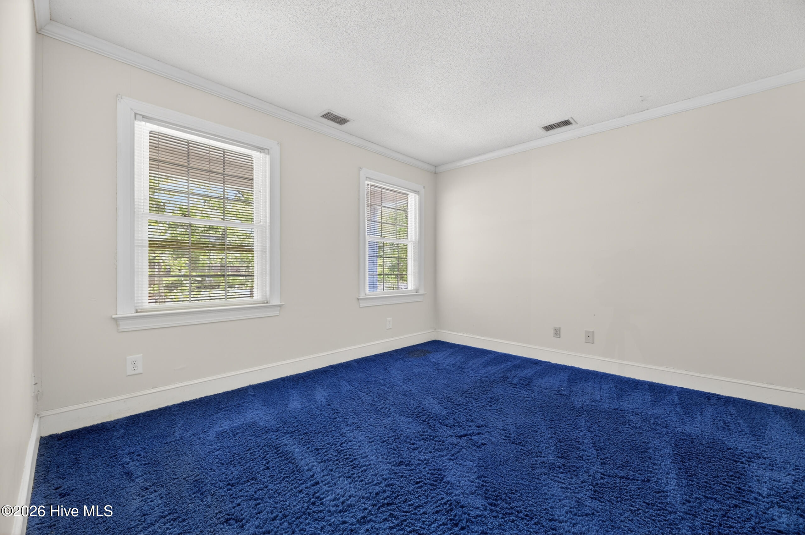 210 King George Road Greenville, NC 27858 - Photo 28 of 41 3rd bedroom