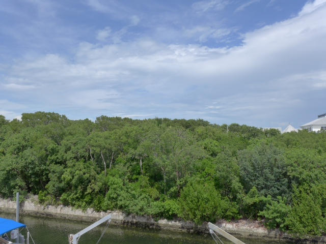 1209 Mockingbird Road Key Largo, FL 33037 - Photo 15 of 25 View across canal- Privacy!