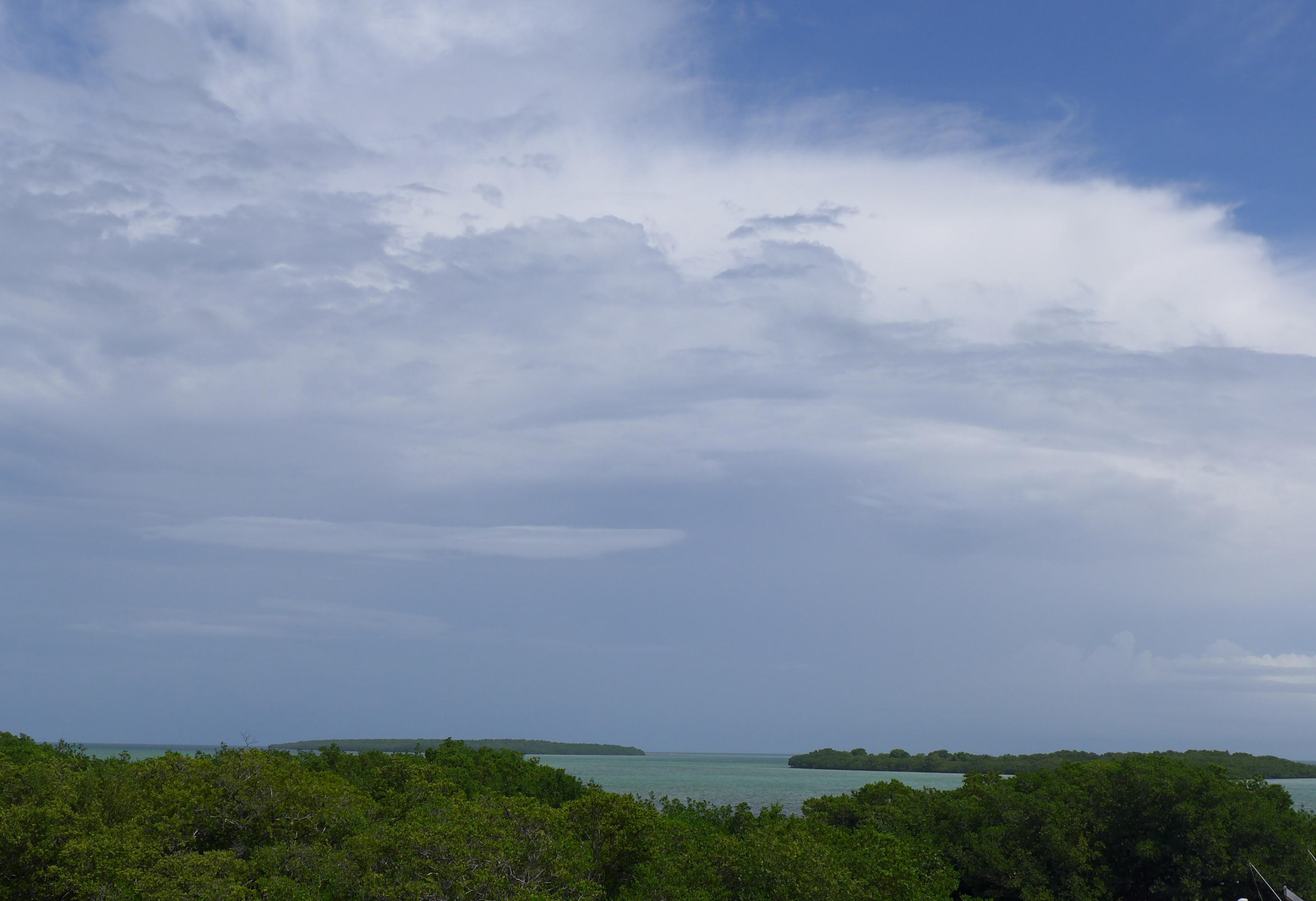 1209 Mockingbird Road Key Largo, FL 33037 - Photo 24 of 25 Beautiful View