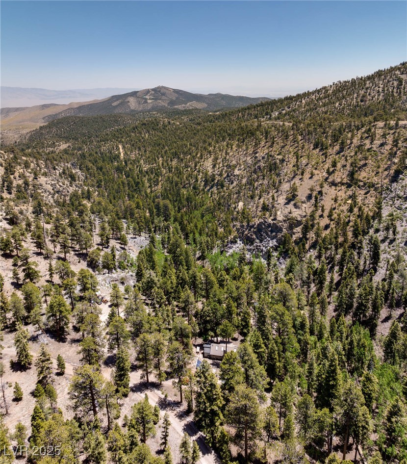 4085 Cougar Ridge Trail Mount Charleston, NV 89124 - Photo 12 of 64