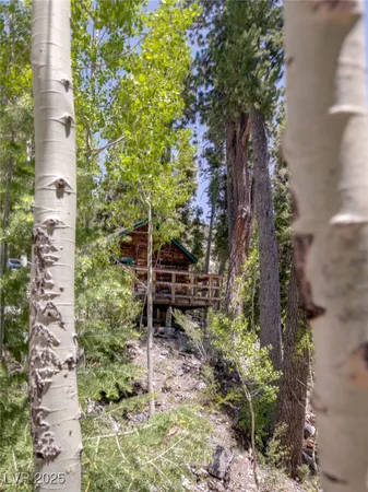 $4,400,000 | 4085 Cougar Ridge Trail, Mount Charleston, NV 89124