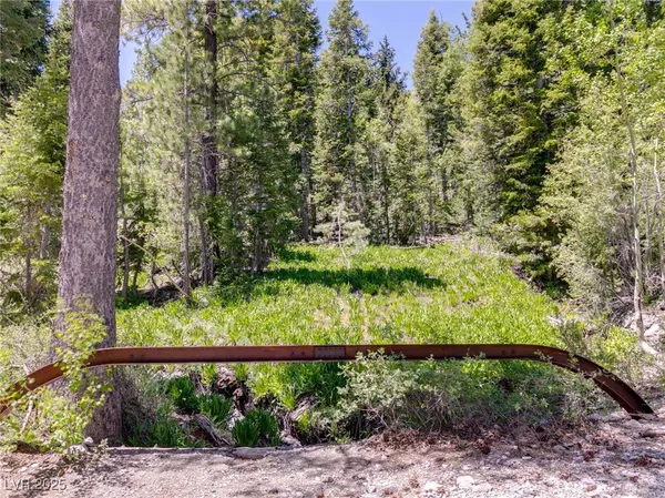 $4,400,000 | 4085 Cougar Ridge Trail, Mount Charleston, NV 89124