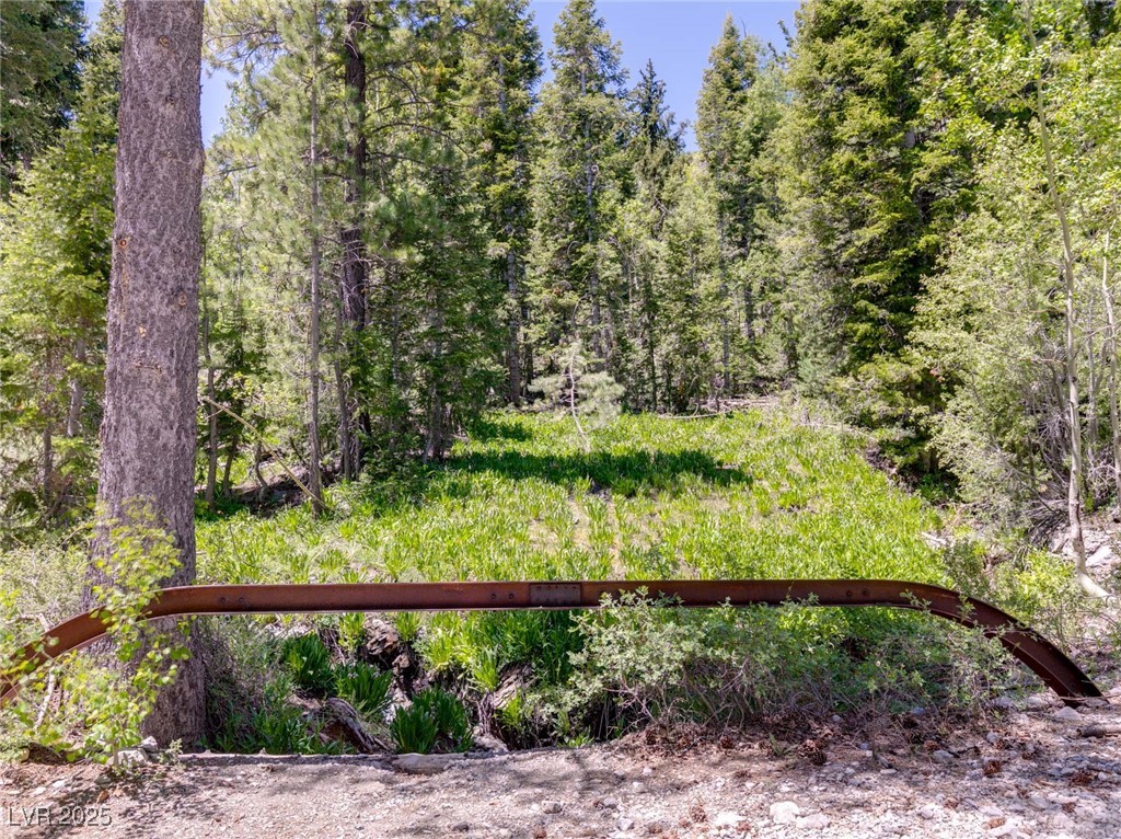 4085 Cougar Ridge Trail Mount Charleston, NV 89124 - Photo 15 of 64