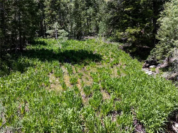 $4,400,000 | 4085 Cougar Ridge Trail, Mount Charleston, NV 89124