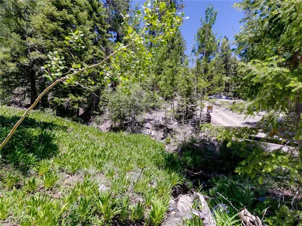 $4,400,000 | 4085 Cougar Ridge Trail, Mount Charleston, NV 89124