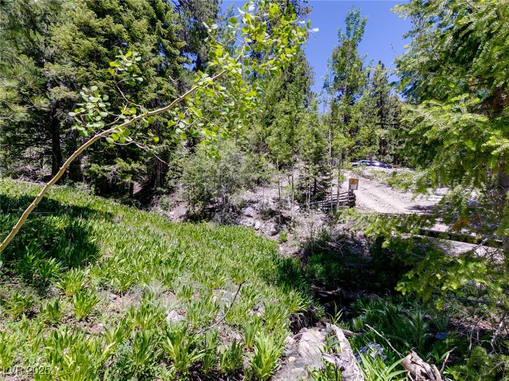 4085 Cougar Ridge Trail Mount Charleston, NV 89124 - Photo 20 of 64
