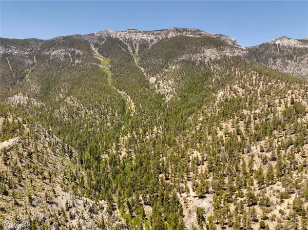 $4,400,000 | 4085 Cougar Ridge Trail, Mount Charleston, NV 89124