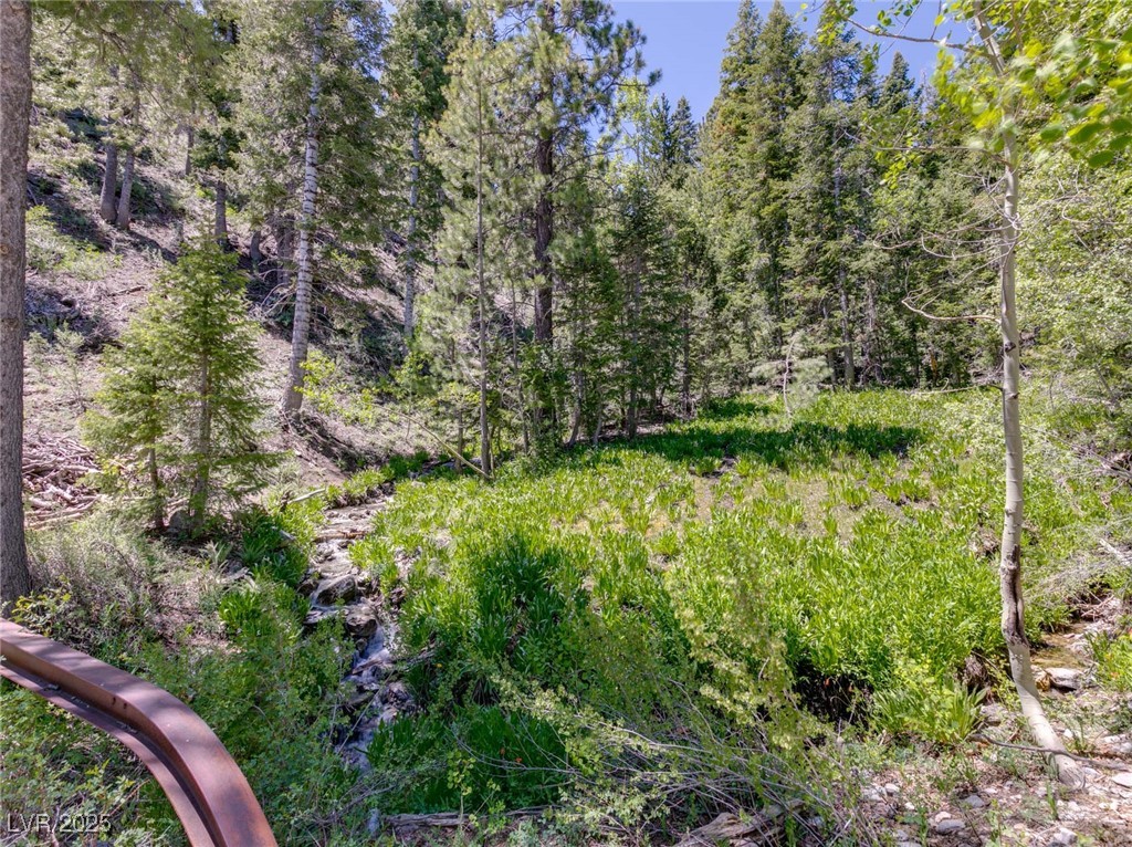 4085 Cougar Ridge Trail Mount Charleston, NV 89124 - Photo 25 of 64