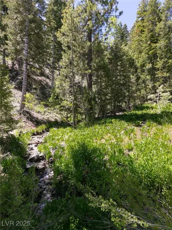 $4,400,000 | 4085 Cougar Ridge Trail, Mount Charleston, NV 89124