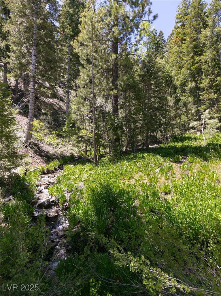 4085 Cougar Ridge Trail Mount Charleston, NV 89124 - Photo 26 of 64