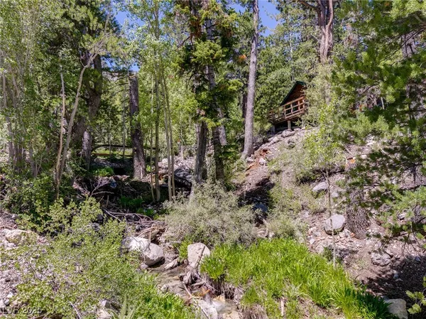 $4,400,000 | 4085 Cougar Ridge Trail, Mount Charleston, NV 89124