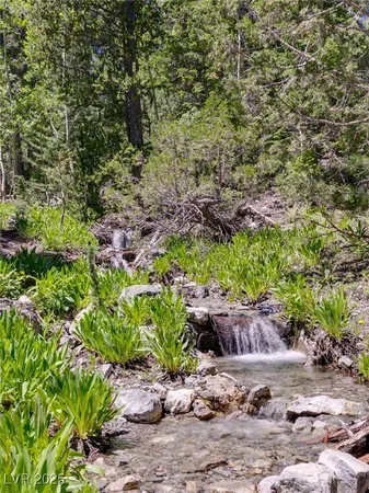 $4,400,000 | 4085 Cougar Ridge Trail, Mount Charleston, NV 89124