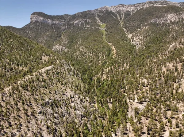 $4,400,000 | 4085 Cougar Ridge Trail, Mount Charleston, NV 89124
