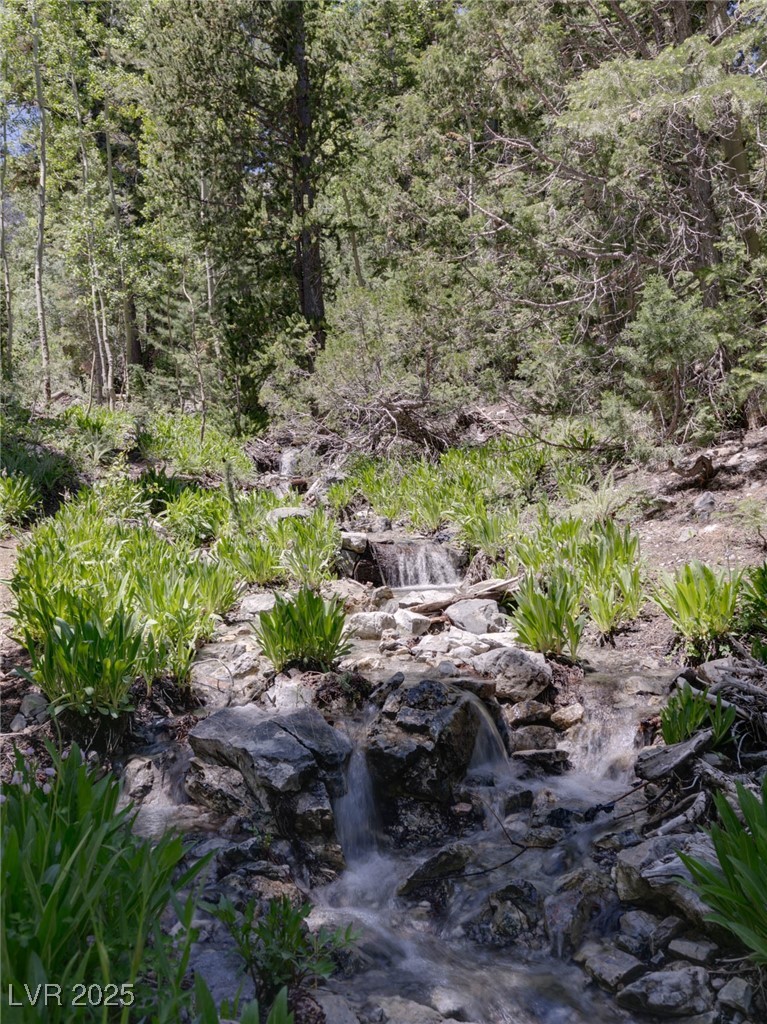 4085 Cougar Ridge Trail Mount Charleston, NV 89124 - Photo 31 of 64