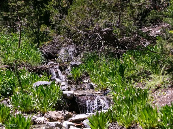 $4,400,000 | 4085 Cougar Ridge Trail, Mount Charleston, NV 89124