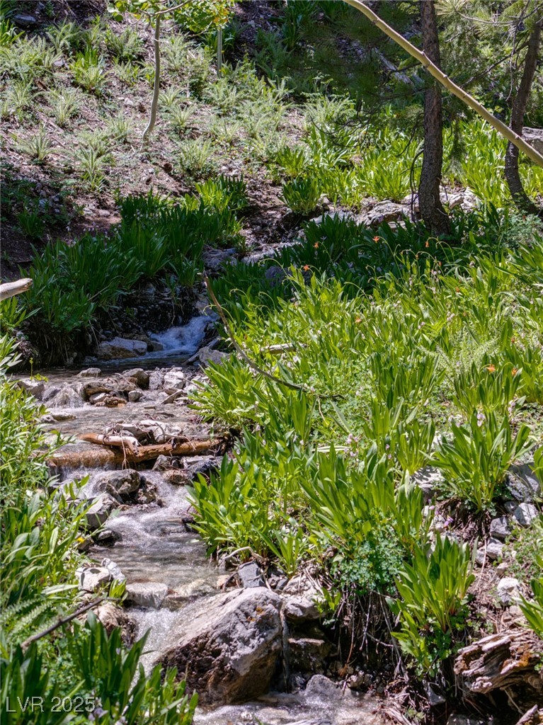 4085 Cougar Ridge Trail Mount Charleston, NV 89124 - Photo 33 of 64