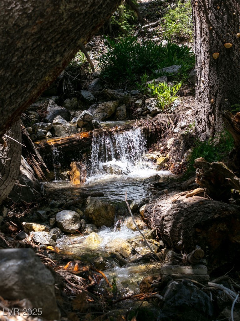 4085 Cougar Ridge Trail Mount Charleston, NV 89124 - Photo 34 of 64