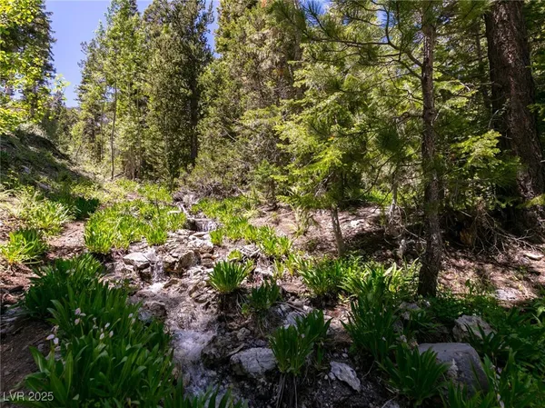 $4,400,000 | 4085 Cougar Ridge Trail, Mount Charleston, NV 89124
