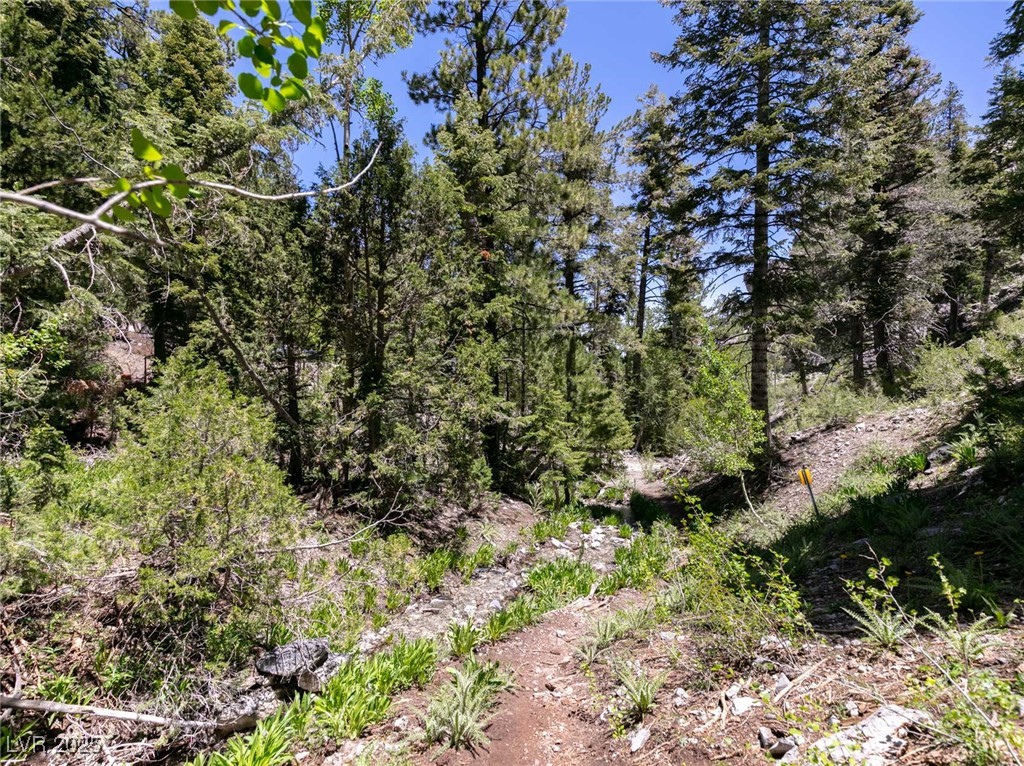 4085 Cougar Ridge Trail Mount Charleston, NV 89124 - Photo 36 of 64