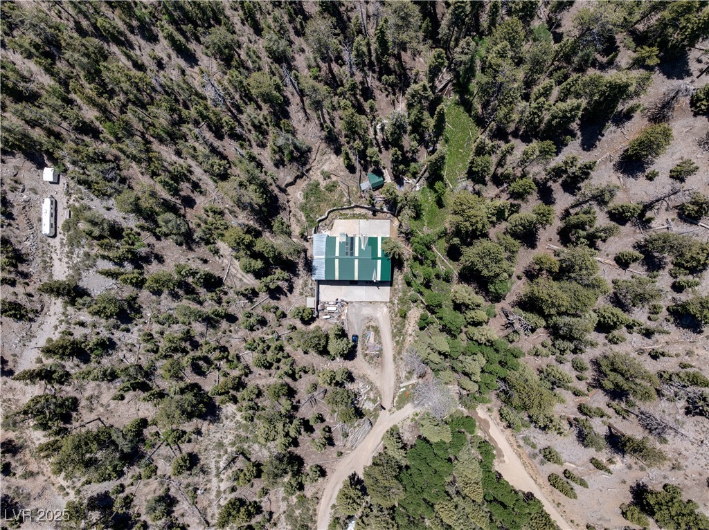 4085 Cougar Ridge Trail Mount Charleston, NV 89124 - Photo 37 of 64