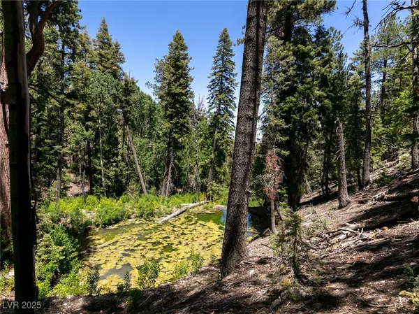 $4,400,000 | 4085 Cougar Ridge Trail, Mount Charleston, NV 89124