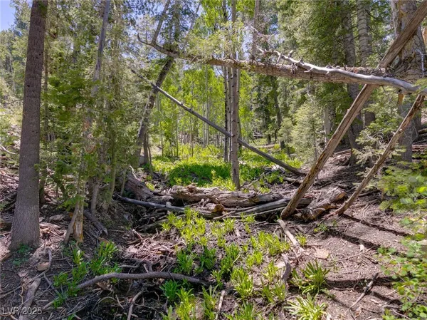 $4,400,000 | 4085 Cougar Ridge Trail, Mount Charleston, NV 89124