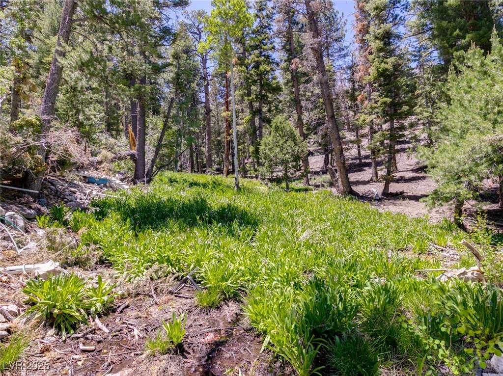 4085 Cougar Ridge Trail Mount Charleston, NV 89124 - Photo 40 of 64
