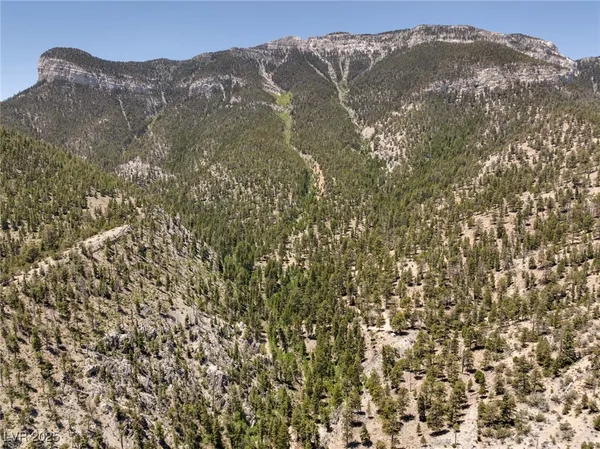 $4,400,000 | 4085 Cougar Ridge Trail, Mount Charleston, NV 89124