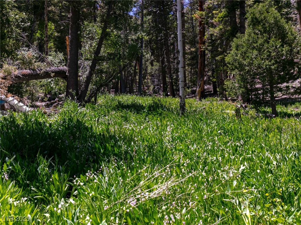 4085 Cougar Ridge Trail Mount Charleston, NV 89124 - Photo 43 of 64