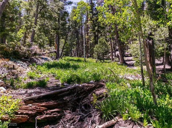 $4,400,000 | 4085 Cougar Ridge Trail, Mount Charleston, NV 89124