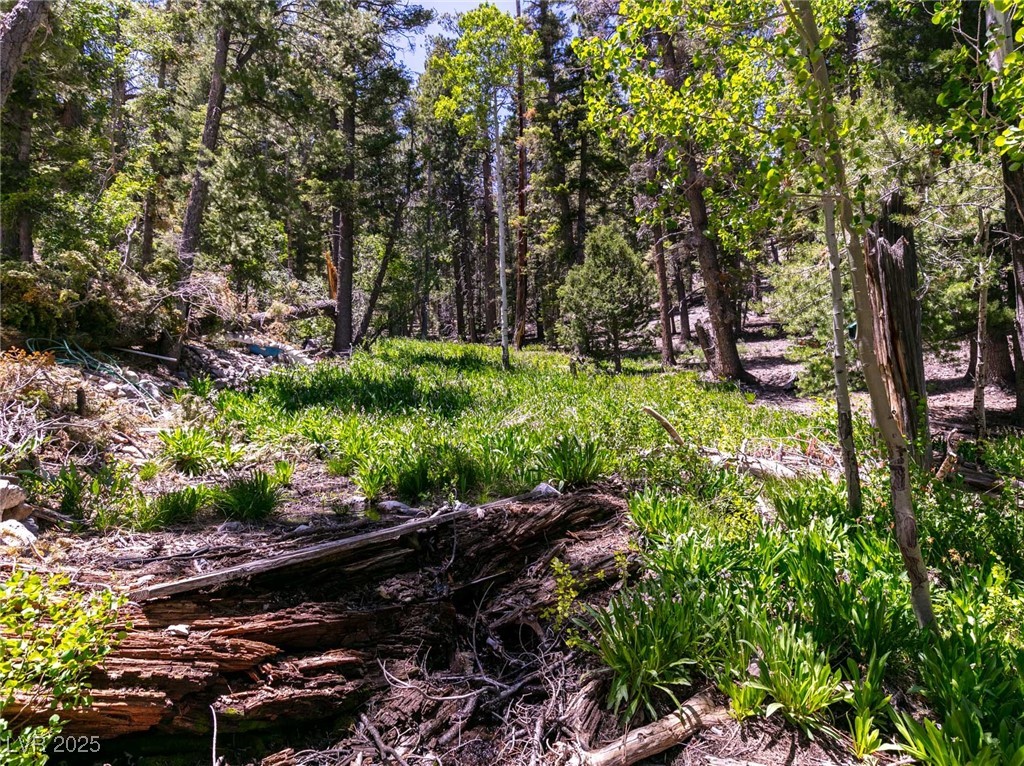 4085 Cougar Ridge Trail Mount Charleston, NV 89124 - Photo 45 of 64