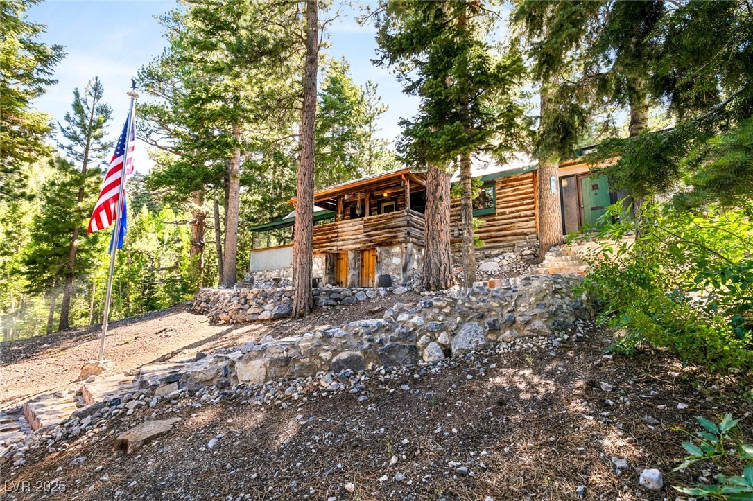 4085 Cougar Ridge Trail Mount Charleston, NV 89124 - Photo 50 of 64