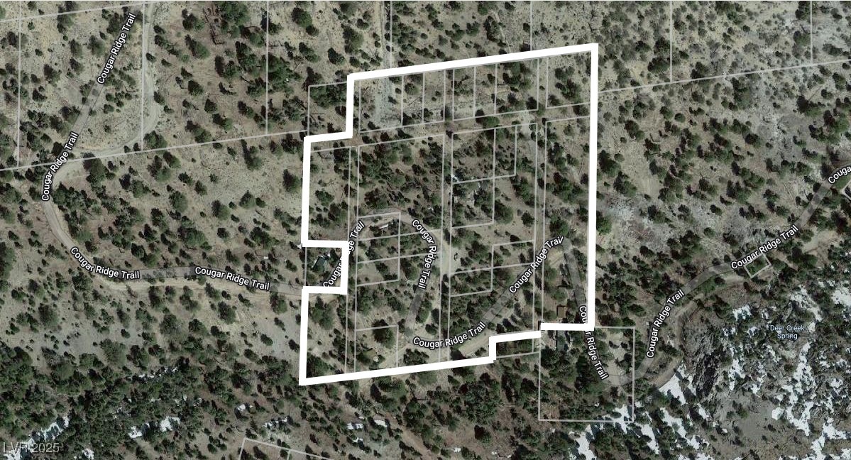 4085 Cougar Ridge Trail Mount Charleston, NV 89124 - Photo 5 of 64