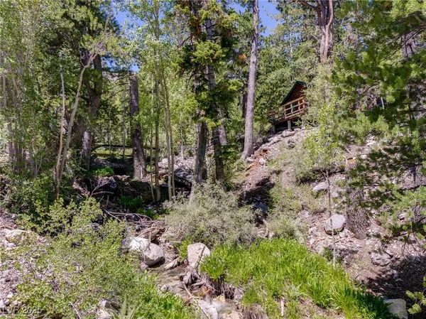 $4,400,000 | 4085 Cougar Ridge Trail, Mount Charleston, NV 89124