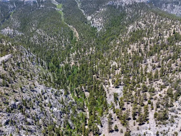 $4,400,000 | 4085 Cougar Ridge Trail, Mount Charleston, NV 89124