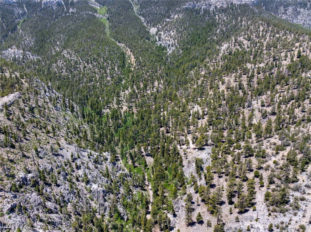 4085 Cougar Ridge Trail Mount Charleston, NV 89124 - Photo 6 of 64