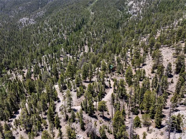 $4,400,000 | 4085 Cougar Ridge Trail, Mount Charleston, NV 89124
