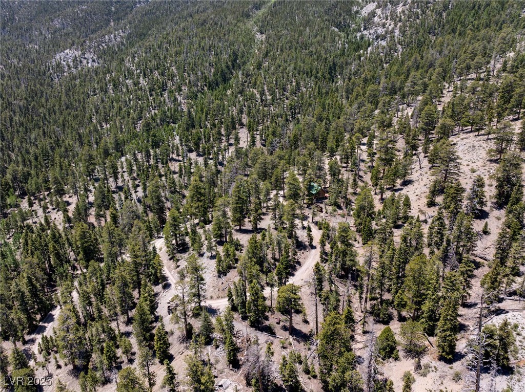 4085 Cougar Ridge Trail Mount Charleston, NV 89124 - Photo 9 of 64