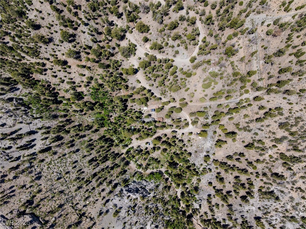4085 Cougar Ridge Trail Mount Charleston, NV 89124 - Photo 10 of 64